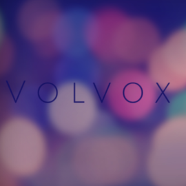 これで丸わかり 謎に包まれたレイクランド大学を徹底解説 Volvox Strategy